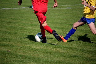 九游-国家女篮训练日程公开每日训练内容紧张高效，国家队女篮在哪里训练